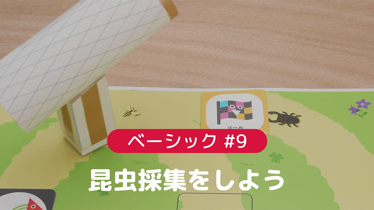 ベーシック#9 昆虫採集をしよう